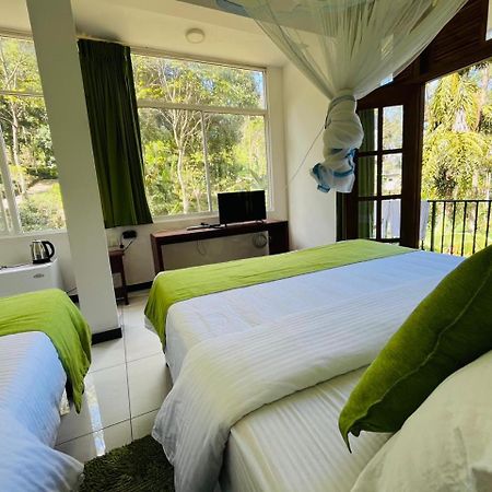Silent Oasis Apartment Ella Bagian luar foto