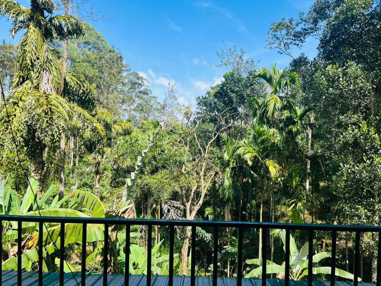 Silent Oasis Apartment Ella Bagian luar foto